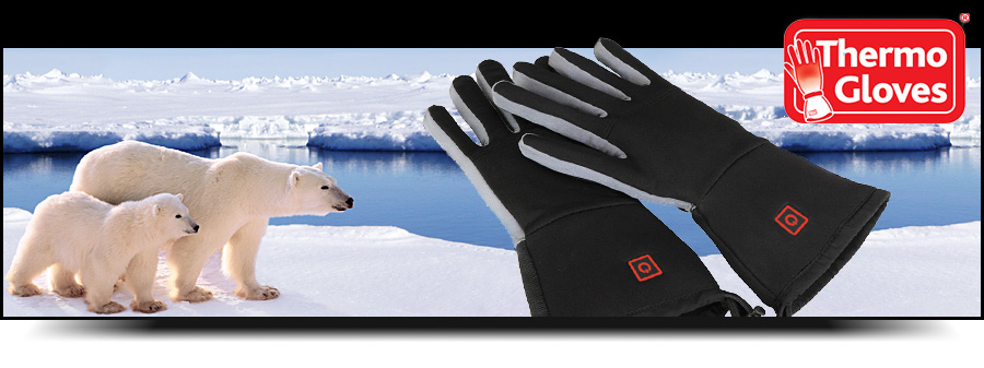 Thermo Gloves