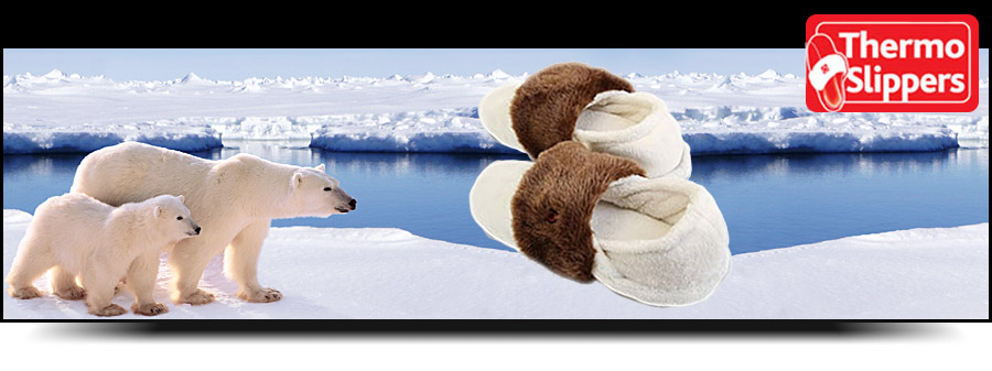 Thermo Slippers